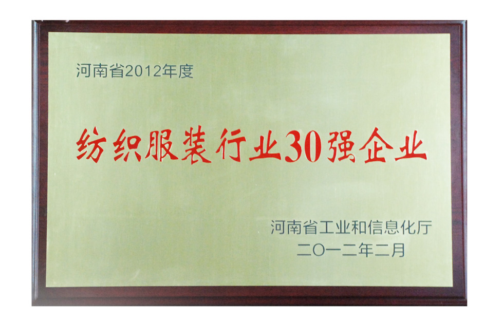 12年度河南纺织行业30强企业