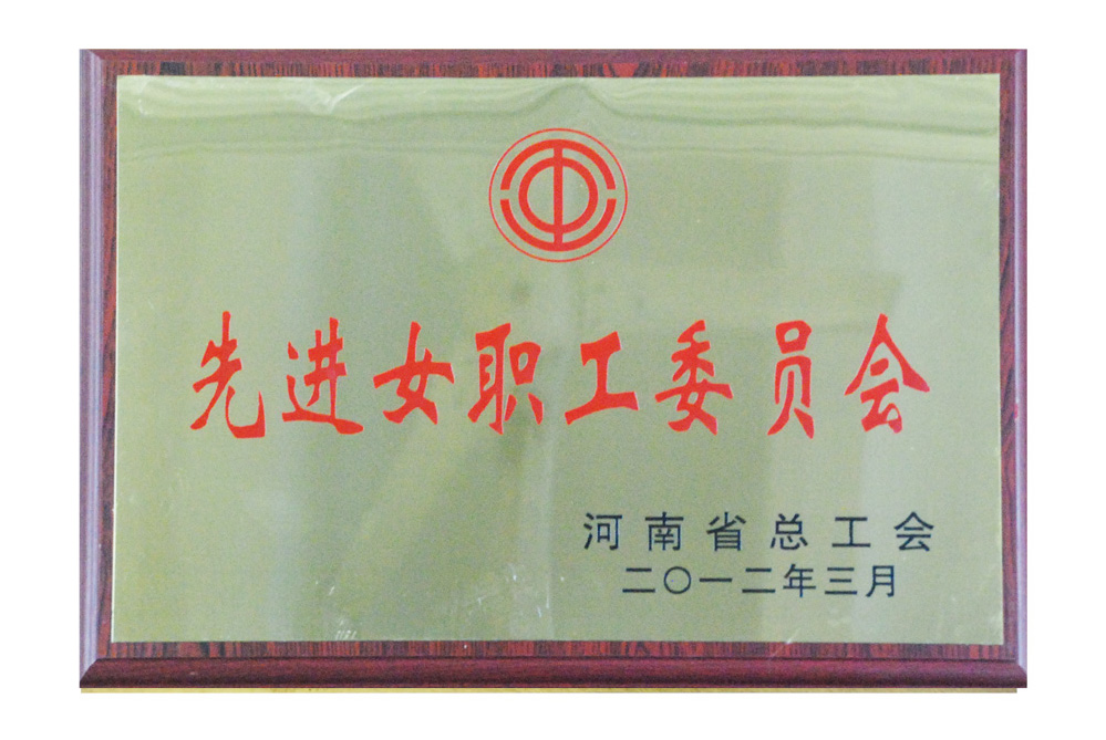 12年度河南先进女职工委员会